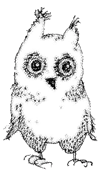 A pencil drawing of a cartoon owl.